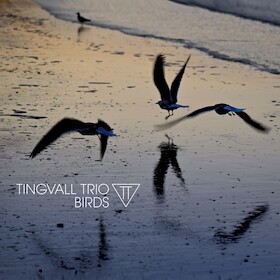 Ticketmotiv TINGVALL TRIO - 