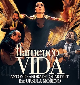 Ticketmotiv Flamenco Vida