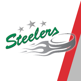 Ticketmotiv EHC Freiburg - Bietigheim Steelers