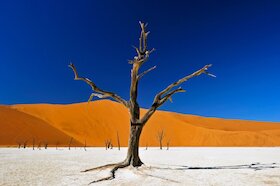 Ticketmotiv Namibia & Botswana - Echo Der Schöpfung